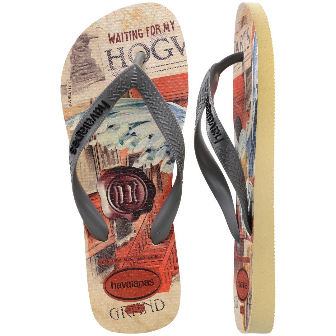 Chinelo Havaianas Top Clássicos Warner Harry Potter - Image 5
